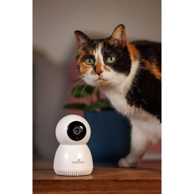 Numaxes Eyenimal Pet Vision Live Hd Camera Zonder Geluid Detectie