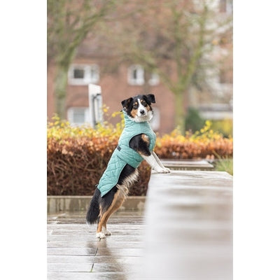 Trixie Citystyle Be Eco Hondenjas Oslo Gerecycled Jade Groen