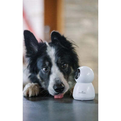 Numaxes Eyenimal Pet Vision Live Hd Camera Zonder Geluid Detectie