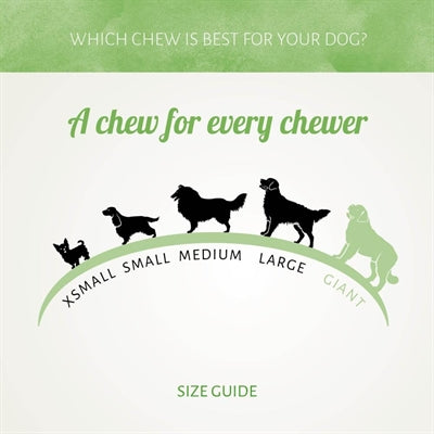 I Am Duck D'light Rawhide