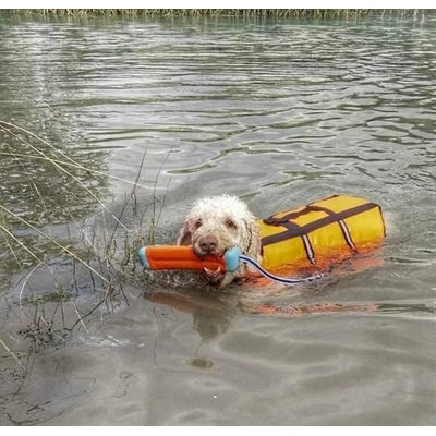 Chuckit Amphibious Bumper Assorti