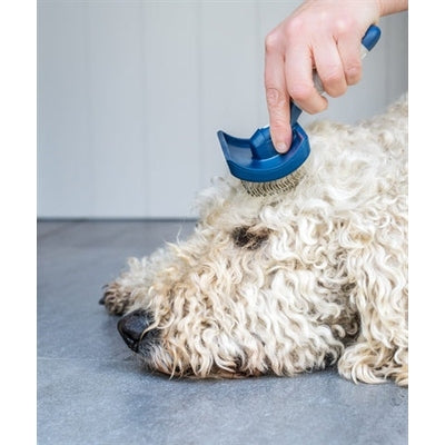 Mikki Doodle Grooming Kit Met Kam En Slickerborstel