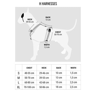 Morso Hondentuig H-Tuig Gerecycled Gold Caviar Goud