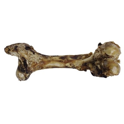 Petsnack Dinobot Xxl