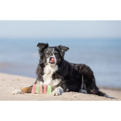 Trixie Ice Pop Groen