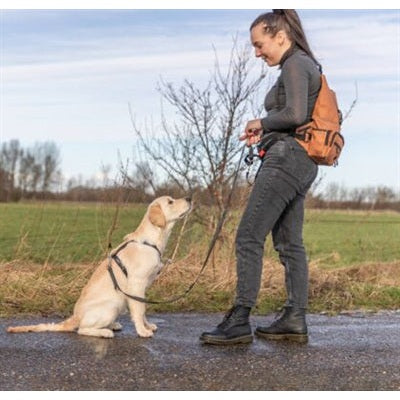 Trixie Rolltop Rugtas Met Heuptas Met Riem Roest