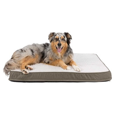 Trixie Vitaal Orthopedisch Kussen Taupe/Lichtgrijs